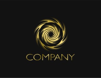 Projekt graficzny logo dla firmy online crazy whirl